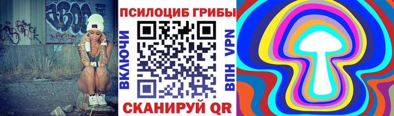 купить наркотик Скопин Псилоцибиновые грибы Psilocybe